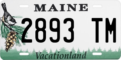 ME license plate 2893TM