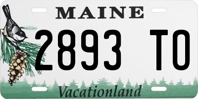 ME license plate 2893TO