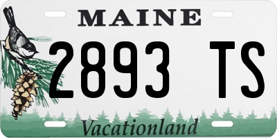 ME license plate 2893TS