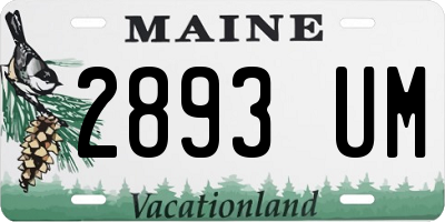 ME license plate 2893UM