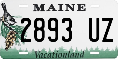 ME license plate 2893UZ