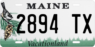 ME license plate 2894TX