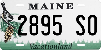 ME license plate 2895SO