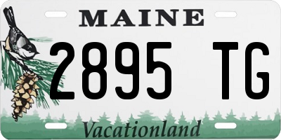 ME license plate 2895TG
