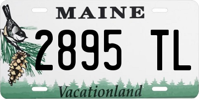 ME license plate 2895TL