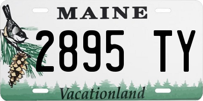ME license plate 2895TY