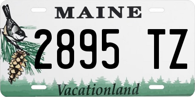 ME license plate 2895TZ