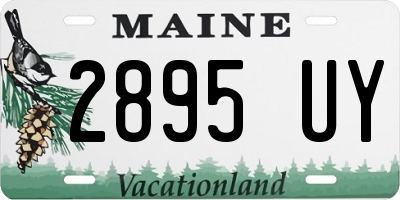 ME license plate 2895UY