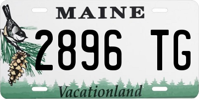 ME license plate 2896TG