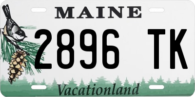 ME license plate 2896TK