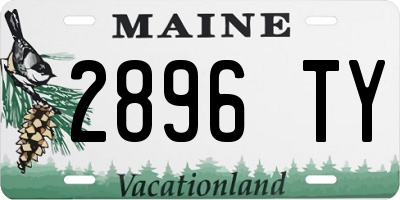 ME license plate 2896TY