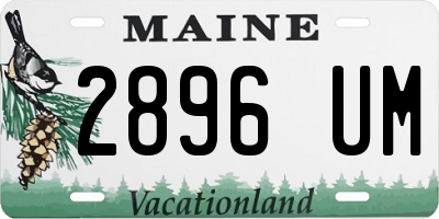 ME license plate 2896UM