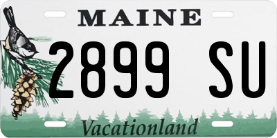 ME license plate 2899SU