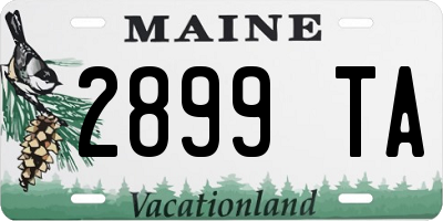ME license plate 2899TA
