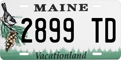 ME license plate 2899TD
