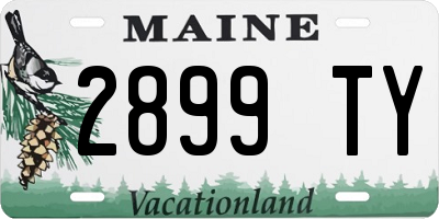 ME license plate 2899TY
