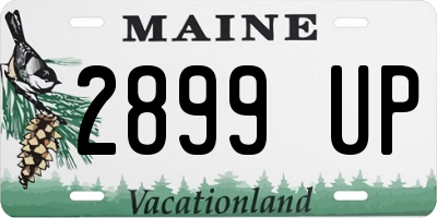ME license plate 2899UP