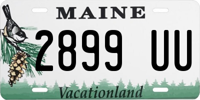 ME license plate 2899UU