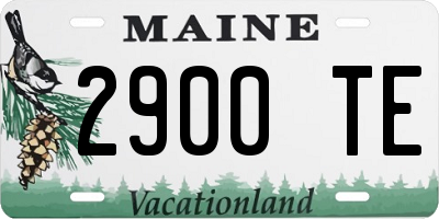 ME license plate 2900TE