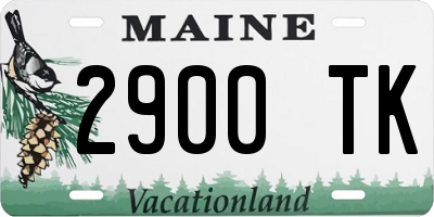 ME license plate 2900TK