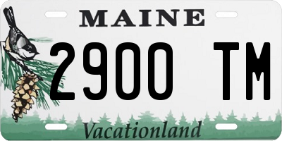 ME license plate 2900TM