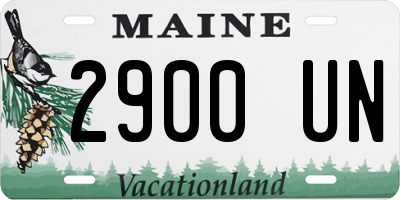ME license plate 2900UN