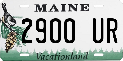 ME license plate 2900UR