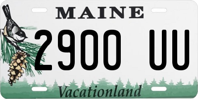 ME license plate 2900UU