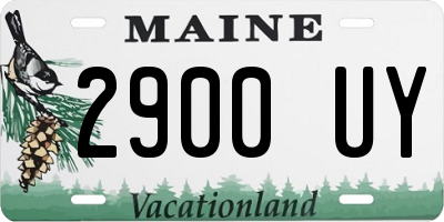 ME license plate 2900UY