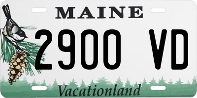 ME license plate 2900VD