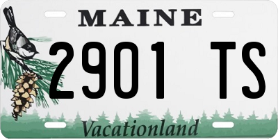 ME license plate 2901TS