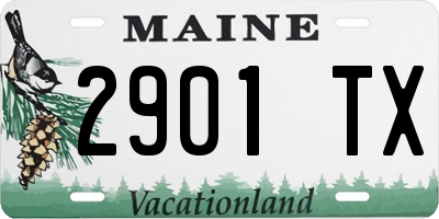 ME license plate 2901TX