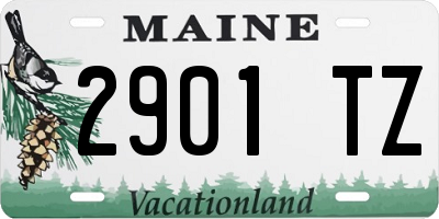 ME license plate 2901TZ