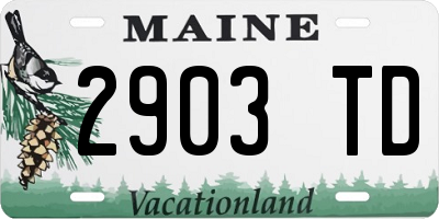 ME license plate 2903TD