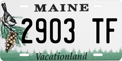 ME license plate 2903TF