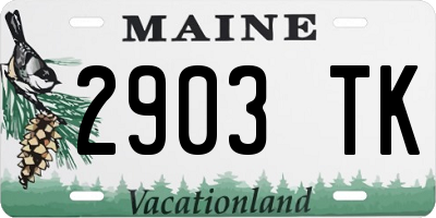 ME license plate 2903TK