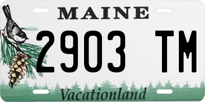 ME license plate 2903TM