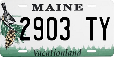 ME license plate 2903TY