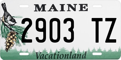 ME license plate 2903TZ