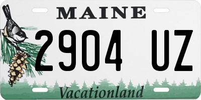 ME license plate 2904UZ