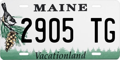 ME license plate 2905TG
