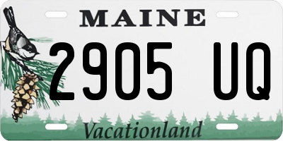 ME license plate 2905UQ