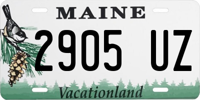 ME license plate 2905UZ