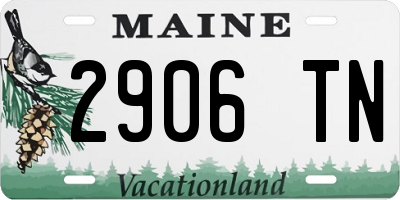 ME license plate 2906TN