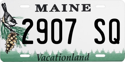 ME license plate 2907SQ