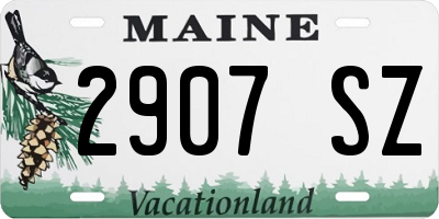 ME license plate 2907SZ