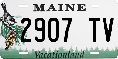 ME license plate 2907TV
