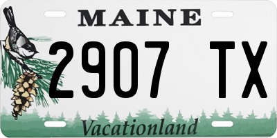 ME license plate 2907TX