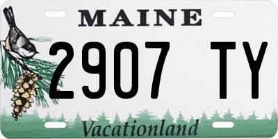 ME license plate 2907TY