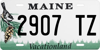 ME license plate 2907TZ